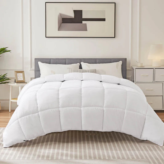 Comforter and Duvet Insert