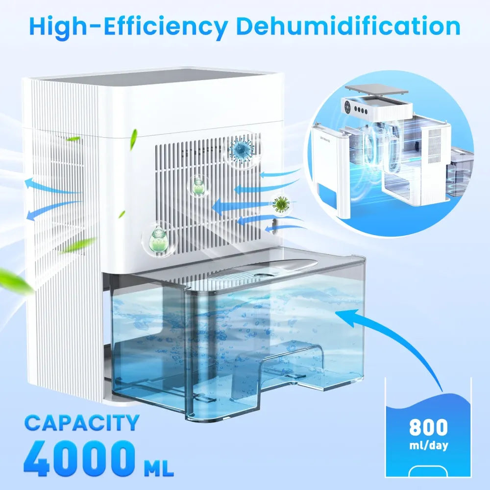 Dehumidifier