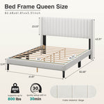 StockMAX Upholstered Platform Bed Frame，Modern Accent Indoor Bedroom Furniture