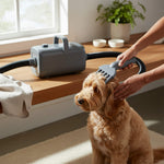 StockMAX Pet Hair Dryer with Adjustable Speed/Temperature, Grooming Dryer