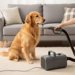 StockMAX Pet Hair Dryer with Adjustable Speed/Temperature, Grooming Dryer