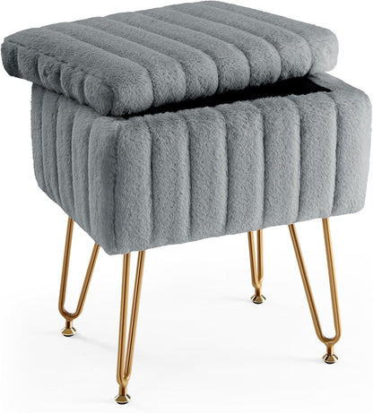 Vanity Stool Chair with Storage K253