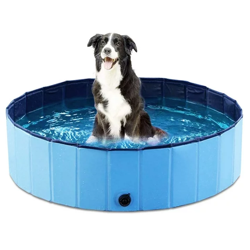 Pet Swimming Pool